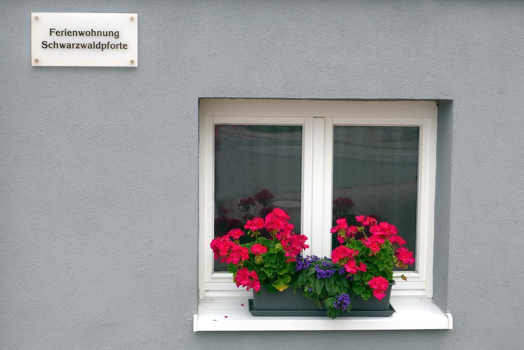 Apartment Schwarzwaldpforte *